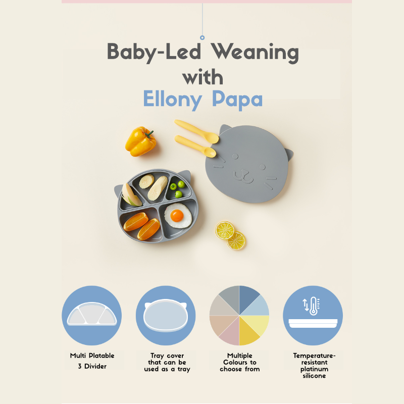 엘로나파파 Ellony Silicone Plate Set by Papastuff